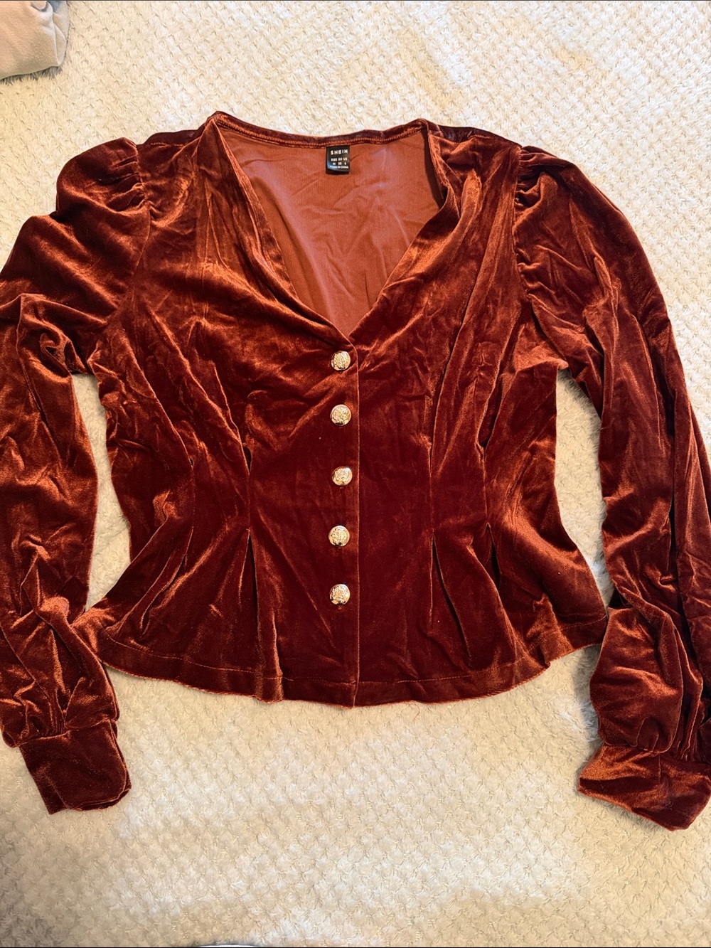 SHEIN Rust Velvet Button-Front Blouse